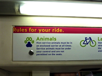 Note: except for service animals, the Streetcar does not permit pets, unless they are in a carrier
